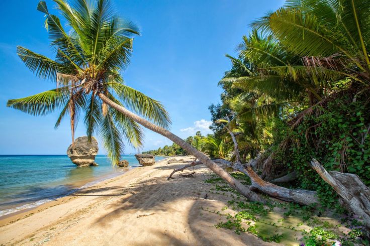 Watabo beach baucau timor leste